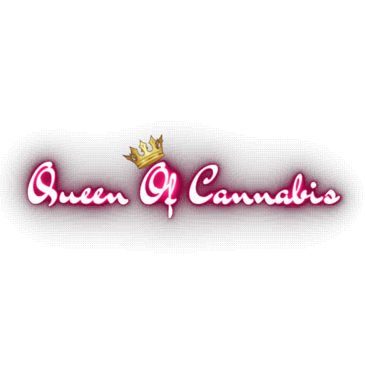 custom_website